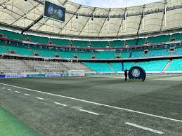 Bahia x Palmeiras: gramado apresenta coloração diferente | Ge